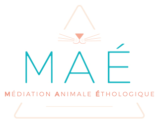 MAÉ Médiation Animale Ethologique