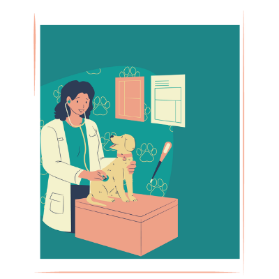 Vous êtes Auxiliaire Spécialisé Vétérinaire (ASV) ?