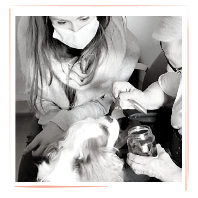 Un programme de médiation animale pour les personnes âgées