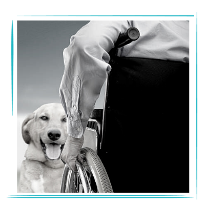 Elaborer un programme de Médiation animale pour les enfants et/ou adultes handicapés