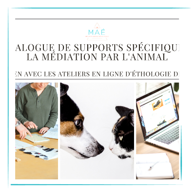 Nouveau : Le catalogue de supports spécifiques à la médiation par l'animal